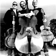 Musicien contrebassiste bassiste, Professeur de basse